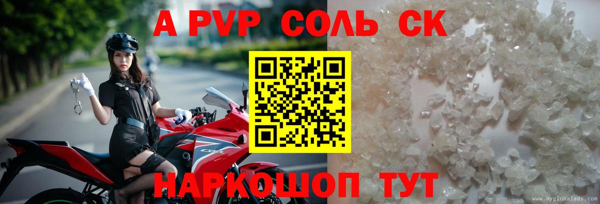Меф Сыктывкар
