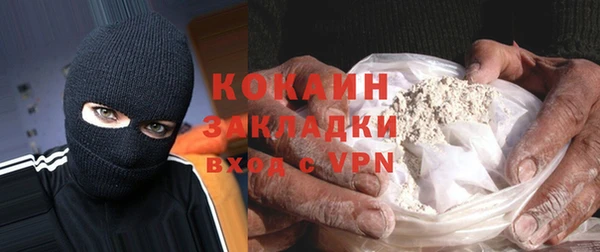 ГАЛЛЮЦИНОГЕННЫЕ ГРИБЫ Ельня