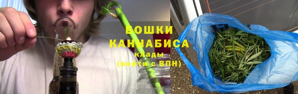 ГАЛЛЮЦИНОГЕННЫЕ ГРИБЫ Ельня