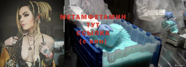 ГАЛЛЮЦИНОГЕННЫЕ ГРИБЫ Ельня