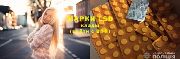 ГАЛЛЮЦИНОГЕННЫЕ ГРИБЫ Ельня
