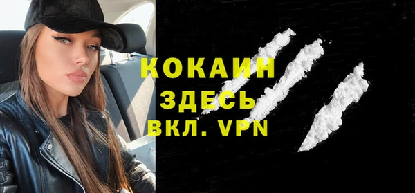ГАЛЛЮЦИНОГЕННЫЕ ГРИБЫ Ельня