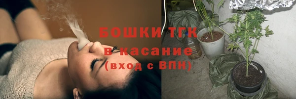 ГАЛЛЮЦИНОГЕННЫЕ ГРИБЫ Ельня