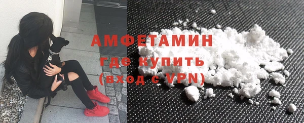 ГАЛЛЮЦИНОГЕННЫЕ ГРИБЫ Ельня