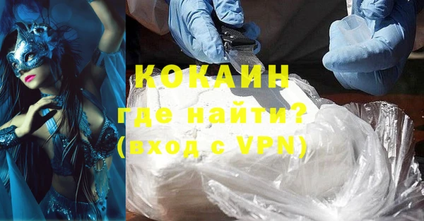 ГАЛЛЮЦИНОГЕННЫЕ ГРИБЫ Ельня