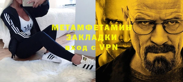 ГАЛЛЮЦИНОГЕННЫЕ ГРИБЫ Ельня