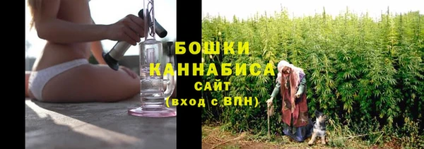 ГАЛЛЮЦИНОГЕННЫЕ ГРИБЫ Ельня