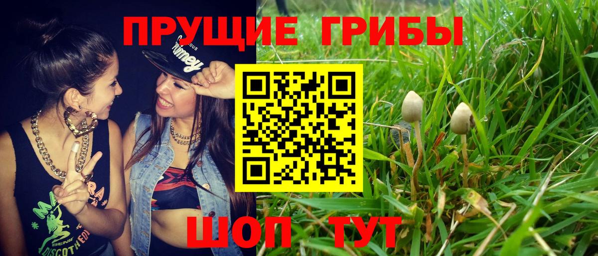 Галлюциногенные грибы Cubensis Сыктывкар