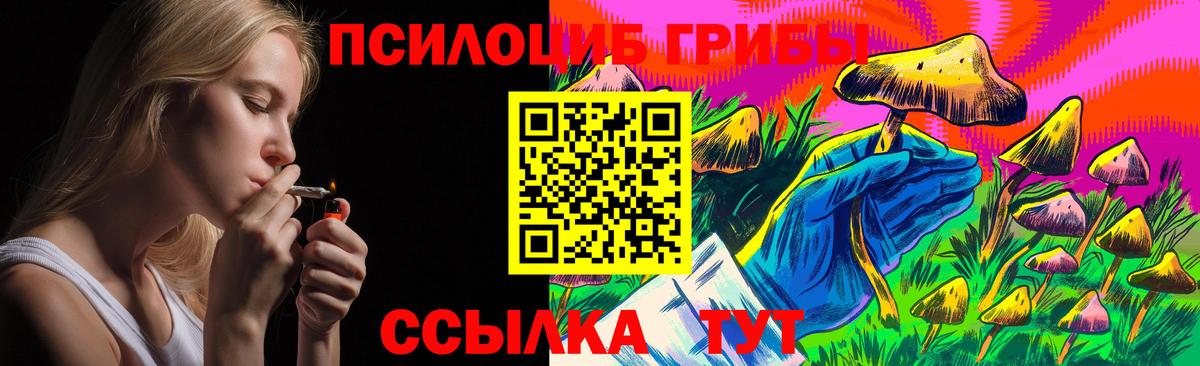 Галлюциногенные грибы мухоморы Сыктывкар