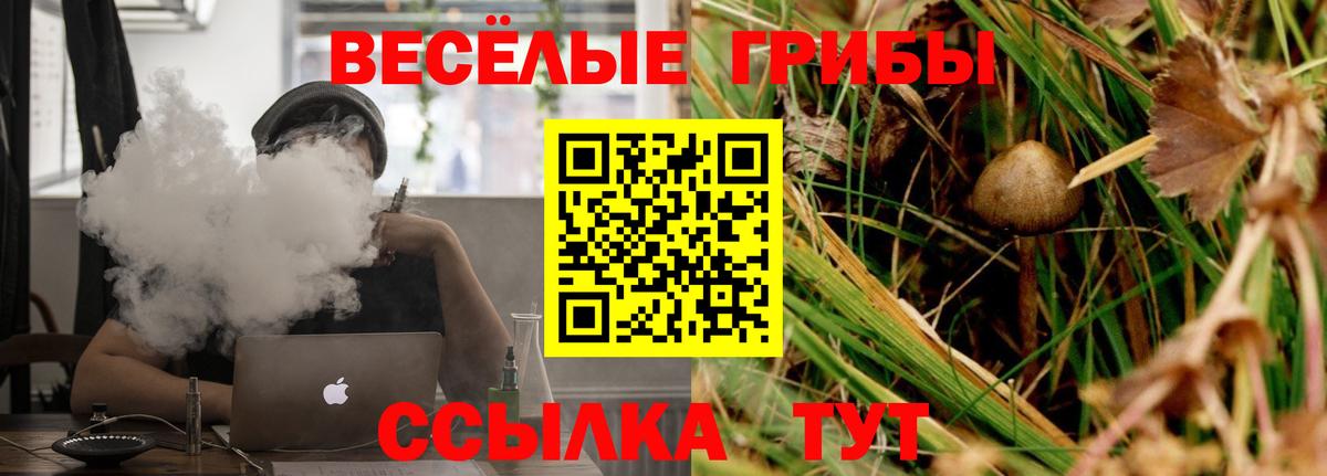 где купить наркоту  Сыктывкар  Псилоцибиновые грибы Magic Shrooms  Псилоцибиновые грибы GOLDEN TEACHER 